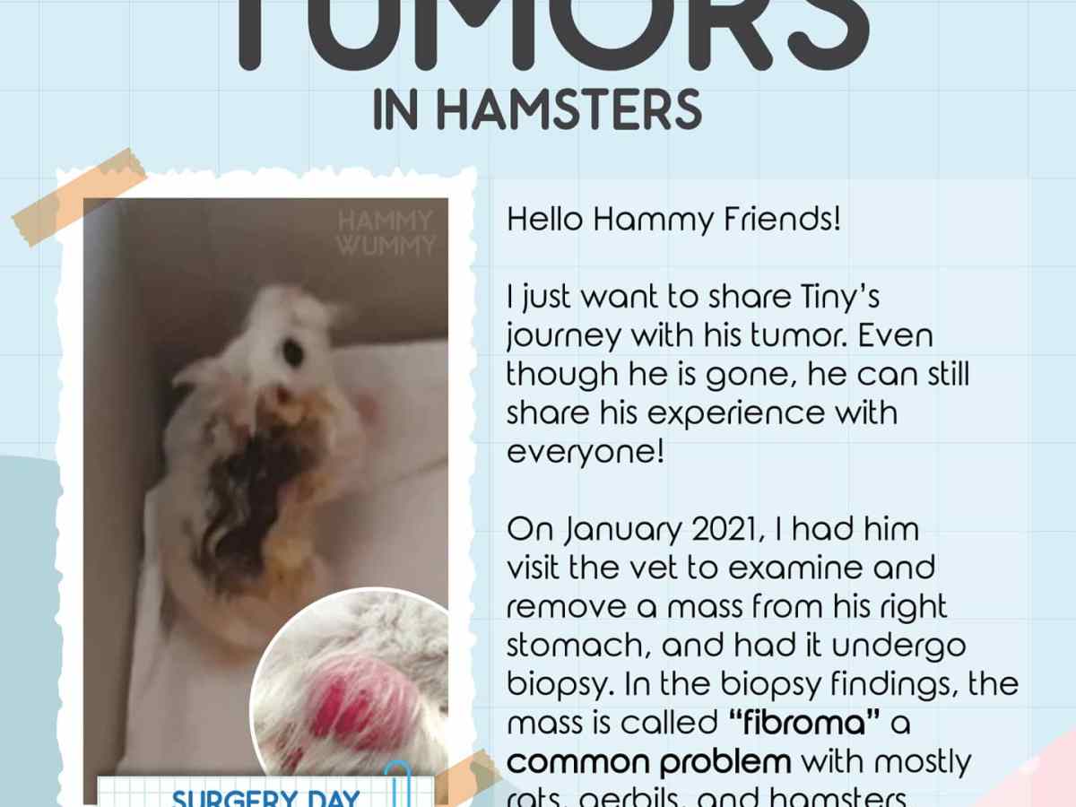 Tumors in hamsters
