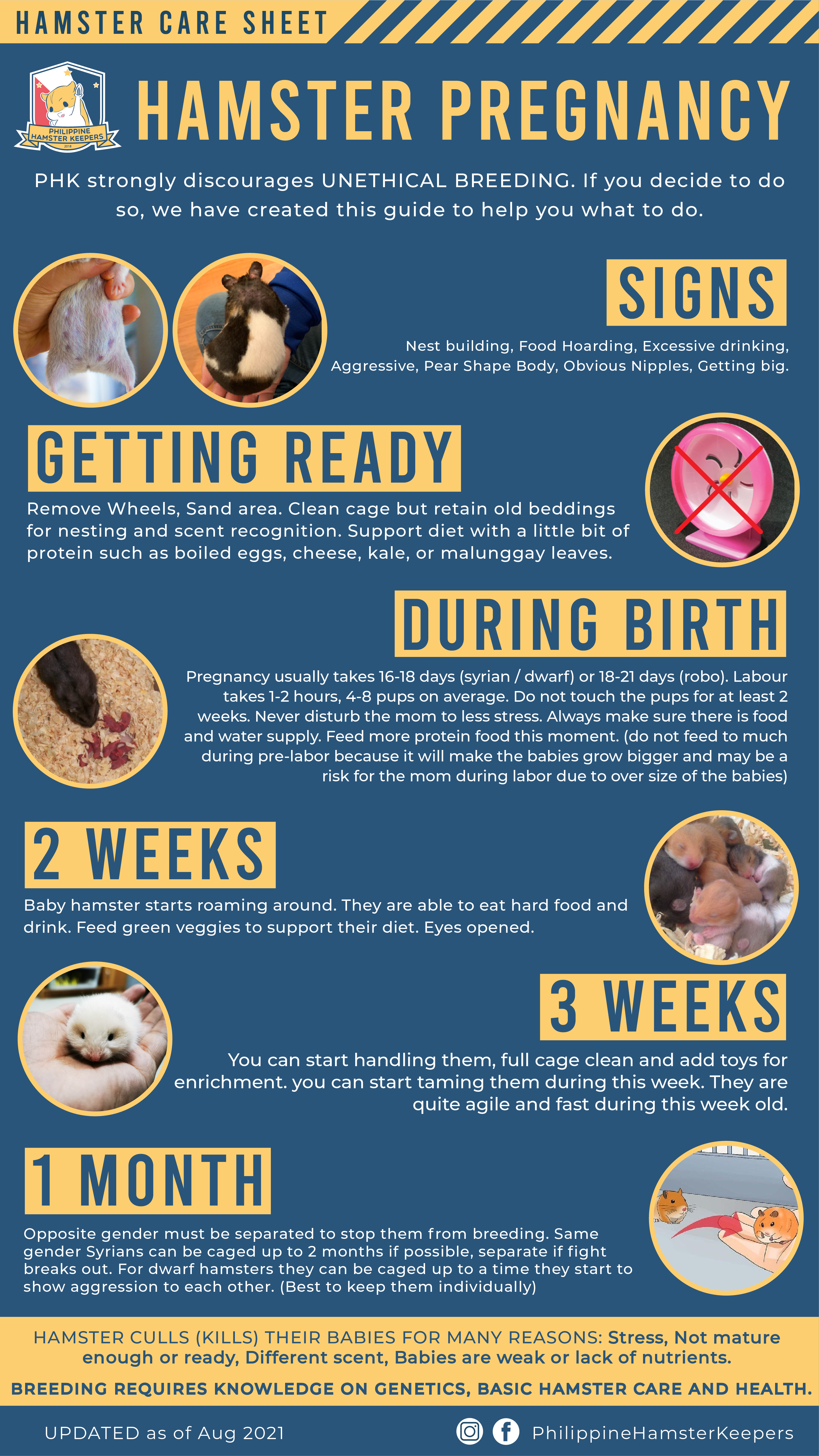 How Long are Hamsters Pregnant: Quick Guide to Gestation